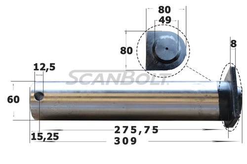 Bolt 60X309 mm.