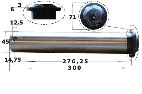 Bolt 45x300 mm.